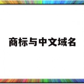 商标与中文域名(商标和域名哪个更重要)