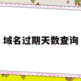 包含域名过期天数查询的词条