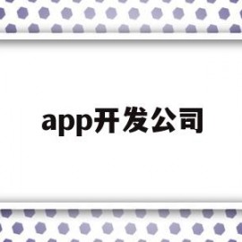 app开发公司(上海app开发公司)