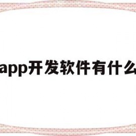 app开发软件有什么(app开发软件有什么用)