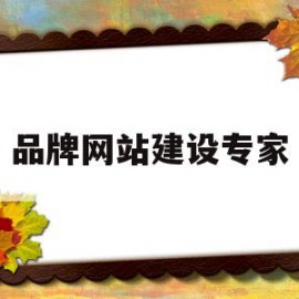 品牌网站建设专家(品牌网站建设专家是什么)