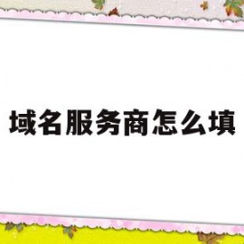 域名服务商怎么填(域名服务商所属区域)