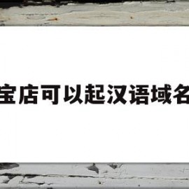 淘宝店可以起汉语域名么(起淘宝店名可以起直营店吗)