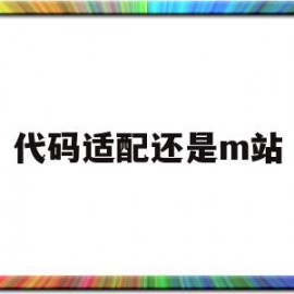 代码适配还是m站(写代码配置要求高吗)