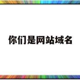你们是网站域名(怎样注册自己网站的域名)