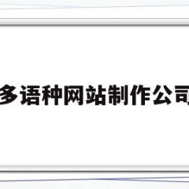 多语种网站制作公司(多语言网站主站有哪些)