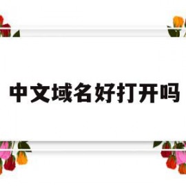 中文域名好打开吗(中文域名好打开吗安全吗)