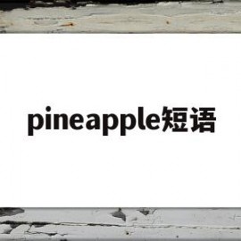 pineapple短语(pineapple短语搭配)