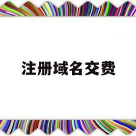 注册域名交费(注册域名交费怎么交)