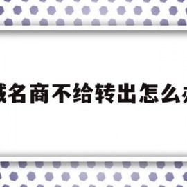 域名商不给转出怎么办(域名60天内无法转出)