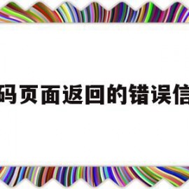 代码页面返回的错误信息(代码页面返回的错误信息怎么办)