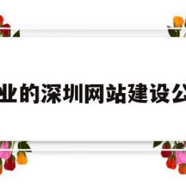 专业的深圳网站建设公司的简单介绍