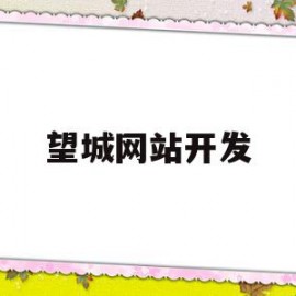 望城网站开发(望城区专业的网站优化推广按效果付费)