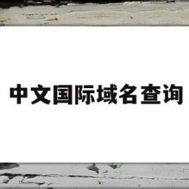 中文国际域名查询(国际中文域名有哪些)
