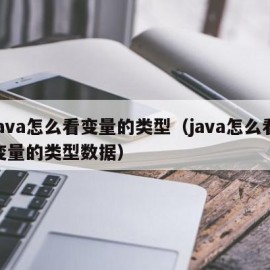 java怎么看变量的类型（java怎么看变量的类型数据）
