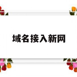 域名接入新网(新网络域名)