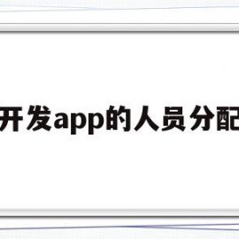 开发app的人员分配(开发APP需要哪些人员)