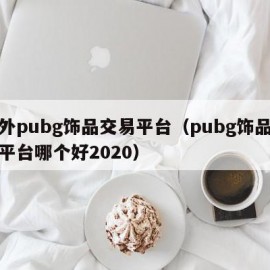国外pubg饰品交易平台（pubg饰品交易平台哪个好2020）