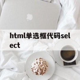 html单选框代码select的简单介绍