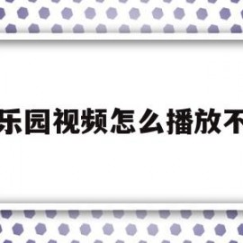 极乐园视频怎么播放不了(极乐园app是什么东西)
