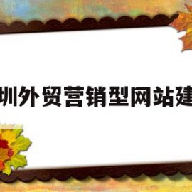 深圳外贸营销型网站建设(深圳外贸推广公司)