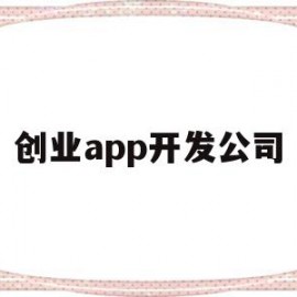创业app开发公司(创业app开发公司怎么样)
