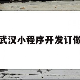 武汉小程序开发订做的简单介绍