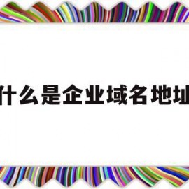 什么是企业域名地址(企业网络的域名是该企业的什么)