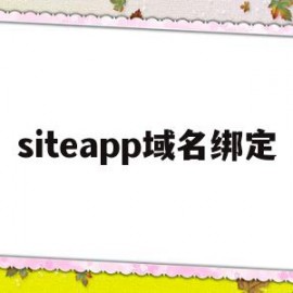 siteapp域名绑定(域名怎么绑定vps怎么使用)