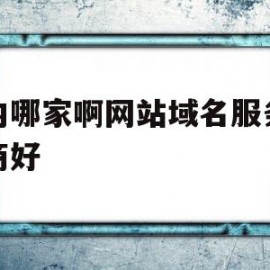 国内哪家啊网站域名服务提供商好(国内哪家啊网站域名服务提供商好一点)