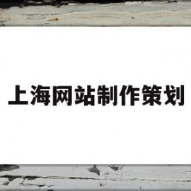 上海网站制作策划(上海网站制作 公司)