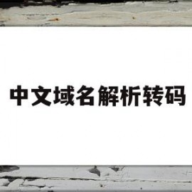 中文域名解析转码(中文域名转化)