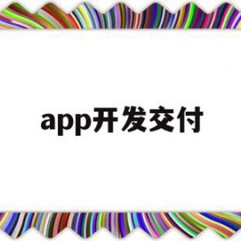 app开发交付(软件开发交付时需要提交哪些资料)