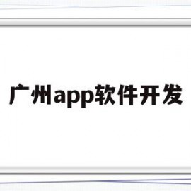 广州app软件开发(广州app软件开发公司排名)