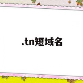 .tn短域名(日本高清晰度电视)