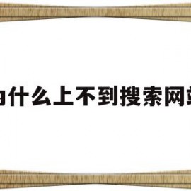 为什么上不到搜索网站(为什么上不到搜索网站了)