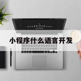 小程序什么语言开发(小程序什么语言开发比较好)