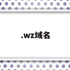 .wz域名的简单介绍