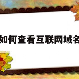 如何查看互联网域名(如何查看互联网域名密码)