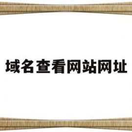 域名查看网站网址(网址域名查询)