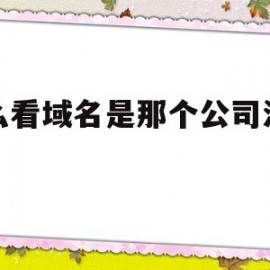 怎么看域名是那个公司注册的(怎么看域名是那个公司注册的呢)