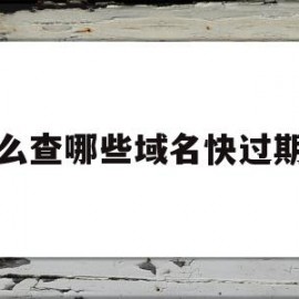 怎么查哪些域名快过期了(怎么查哪些域名快过期了呢)