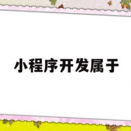 小程序开发属于(小程序开发属于什么费用)
