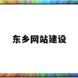 东乡网站建设(东乡网站建设招标公告)