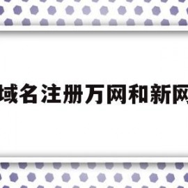 域名注册万网和新网(域名注册查询新网和万网)