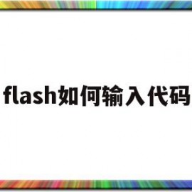 flash如何输入代码(flash在哪里写代码)