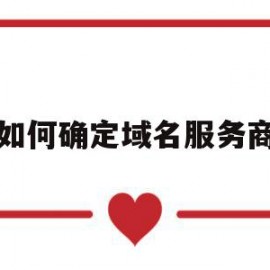 如何确定域名服务商(域名服务类型怎么选择)