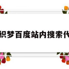 给织梦百度站内搜索代码(织梦自动提交百度收录插件)