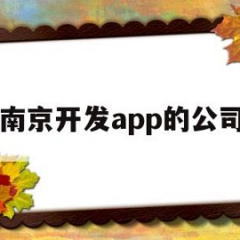 南京开发app的公司(南京开发app的公司叫什么)