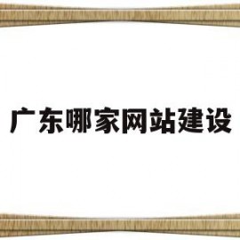 广东哪家网站建设(广东网站开发建设)